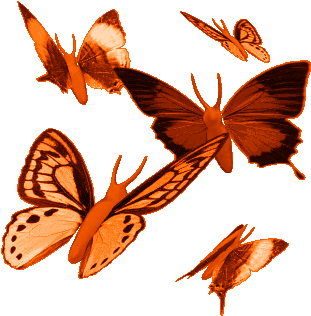 Animated Gif Butterflies Images Glitter 29 - Animation Gif (350x350)
