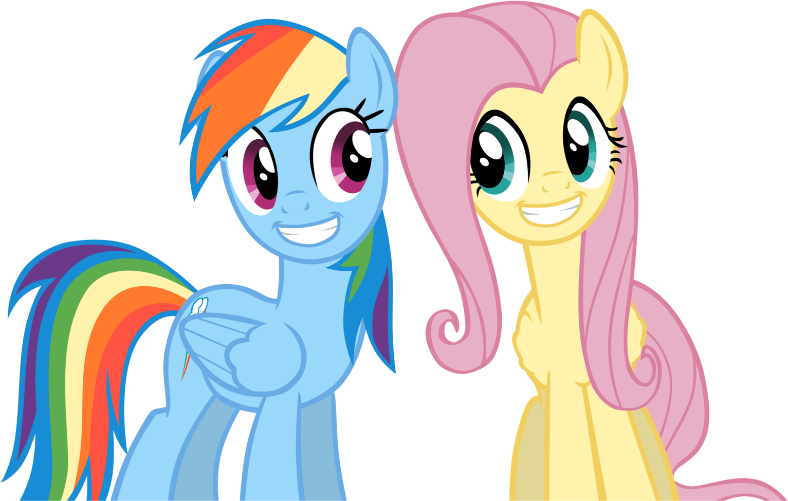 Bff - Rainbow Dash And Friends (1600x993)