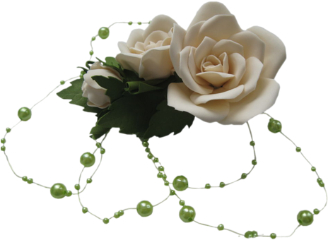 [ Img] - Garden Roses (500x364)