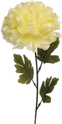 Single Ball Mum Artificial Flower Stem - Lady Banks' Rose (340x510)