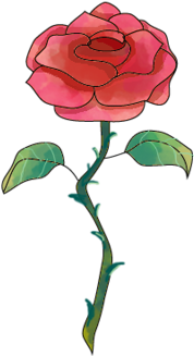 A Bela E A Fera - Rosa Bela E A Fera Png (345x500)