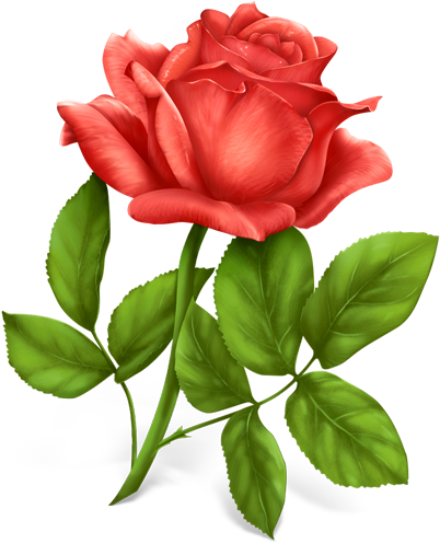 Rose Icon (512x512)