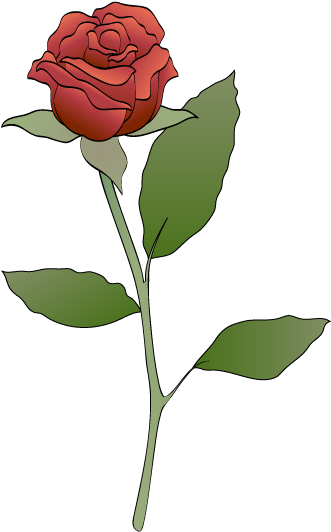Pink Rose Clipart Rose Leaf - Pink Rose Clip Art (344x558)