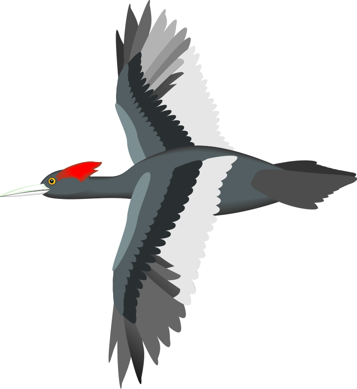 Flying Bird Clip Art At Clipart Library - Animated Flying Bird Png (735x800)