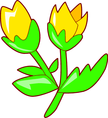 Yellow Tulip Clipart - 2 Flower Clipart (365x400)