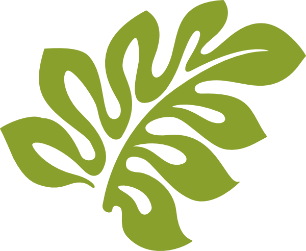 Hibiscus Leaf Clip Art Free - Hibiscus Clip Art (600x492)