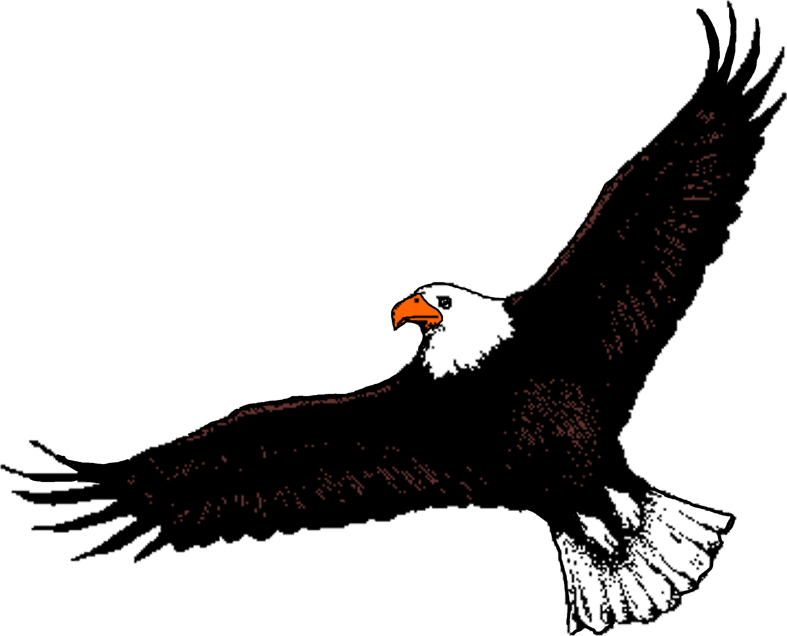 Bald Eagle Clipart Flight Clipart - Eagle With Wings Spread (2995x2290)