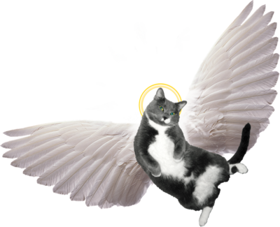 Cat Angel Clipart - Spirit-led Preaching: The Holy Spirit's Role (400x325)