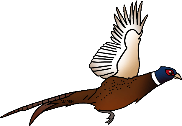 Free Animals Clip Art By - South Dakota's State Bird (648x446)