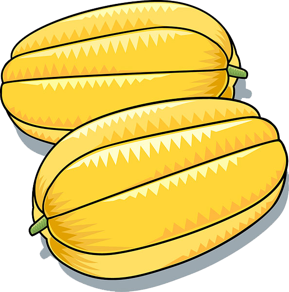 Korean Melon Daum Naver Blog Email - Korean Melon (594x600)