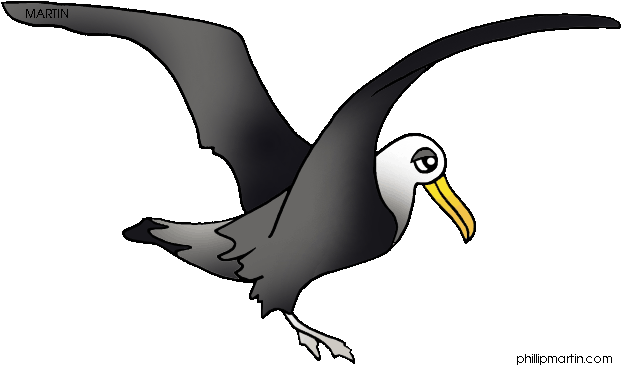 Albatros Clipart - Free Clip Art Albatross (648x399)