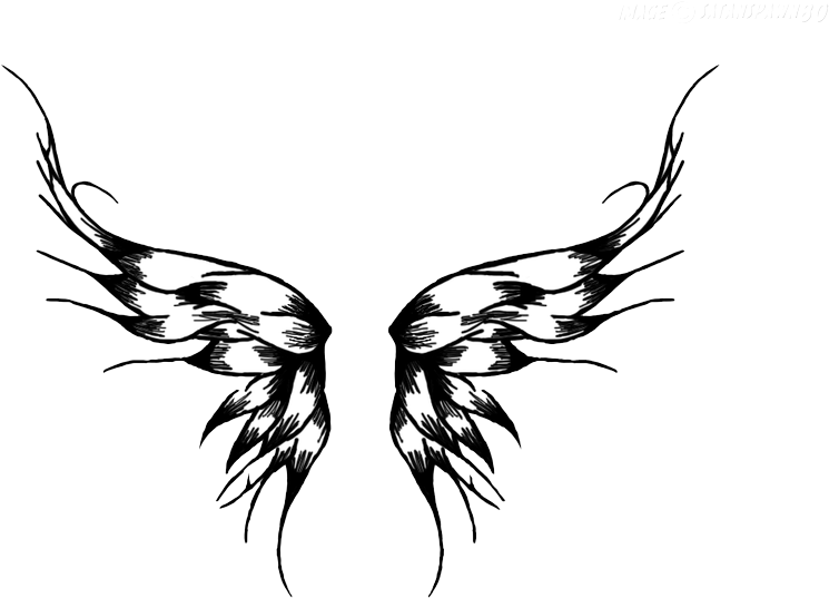 Wings - Tattoos Transparent (800x587)