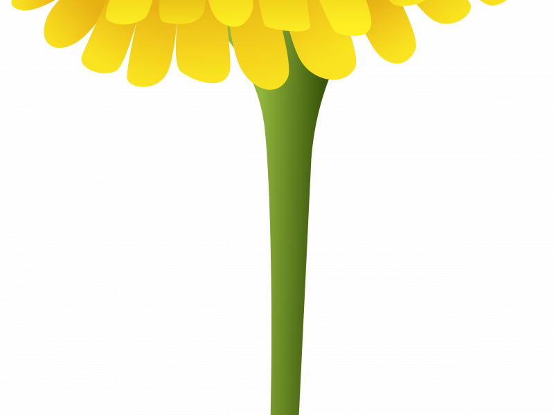 Dandelion Clip Art - Dandelion Clip Art (800x600)