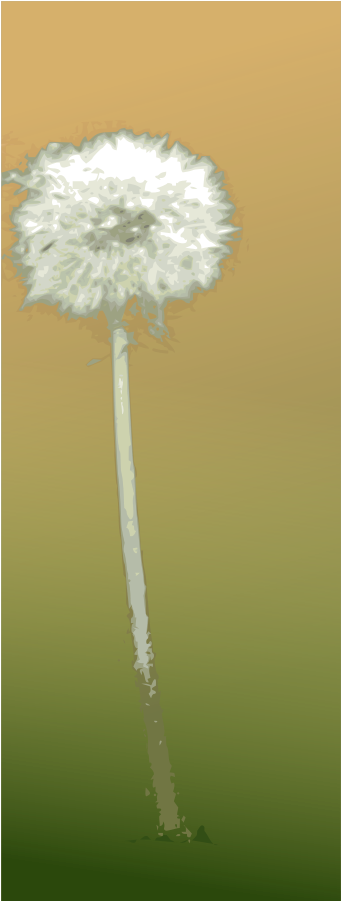 Dandelion Clock - Dandelion (379x900)