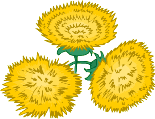 2 - Sunflower (502x388)