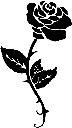 Black Rose Tattoo Png - Beauty And The Beast Rose Stencil (300x515)