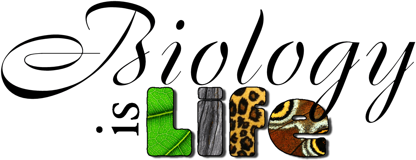 Biology Title Page Clipart - Biology Project Cover Page Design (1426x620)
