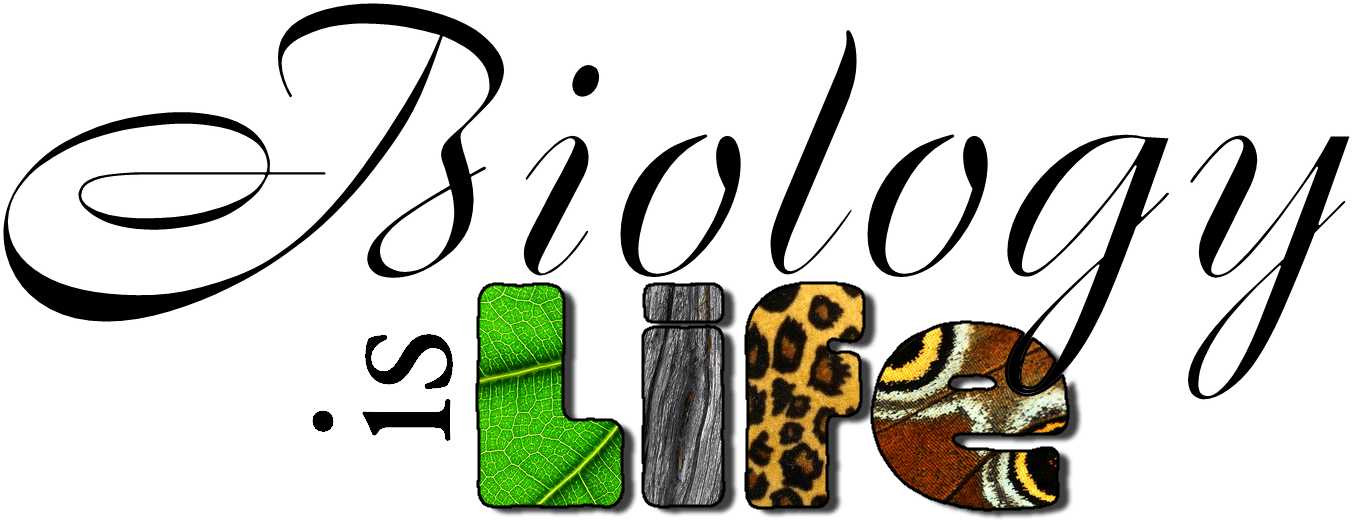 Biology Title Page Clipart - Biology Project Cover Page Design - (1426x620)  Png Clipart Download