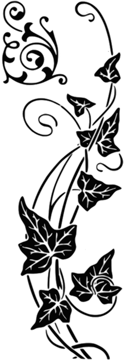 Similar Images For Rose Vines Drawings - Dekoratif Daun (360x720)