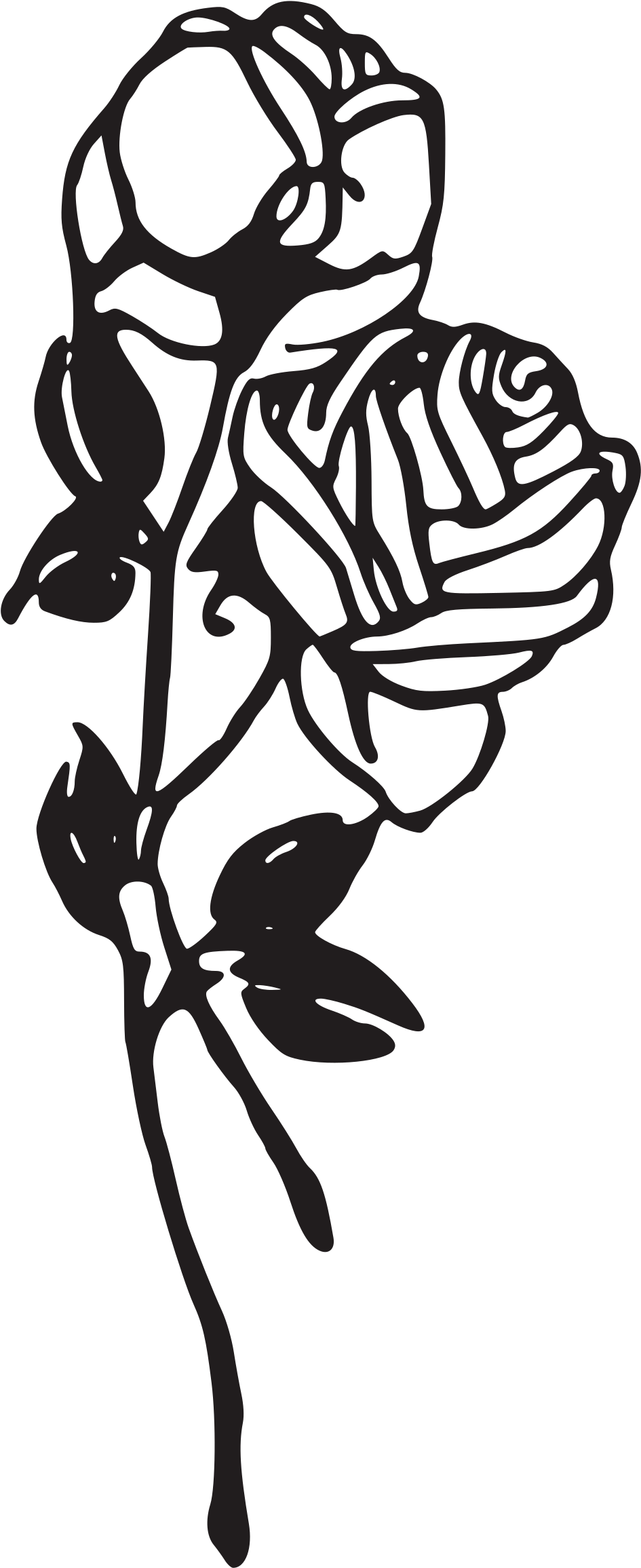 This Free Icons Png Design Of Two Roses - Rose Png Black White (2400x2400)