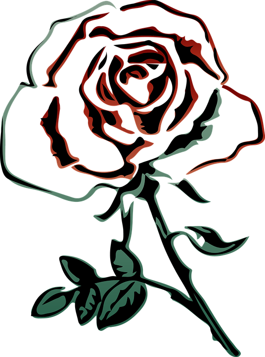 Red Large Rose Clipart Png Picture - Sketch Of A Rose (536x720)