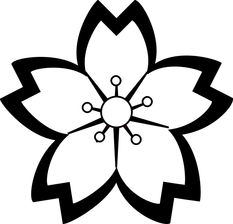 Outline Of Flowers 1, Buy Clip Art - Sakura Flower Drawing Black And White (750x720)