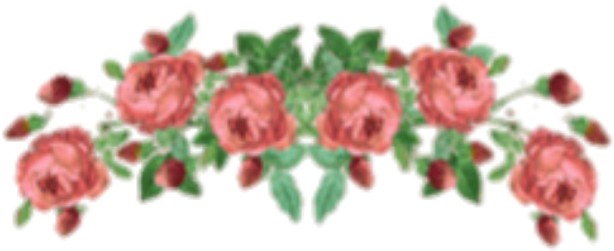 Transparent Flower Crown Tumblr Choice Image Flower - Garden Roses (1000x800)