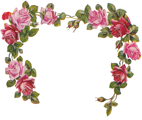 Flower Frame Without Background (2000x1691)