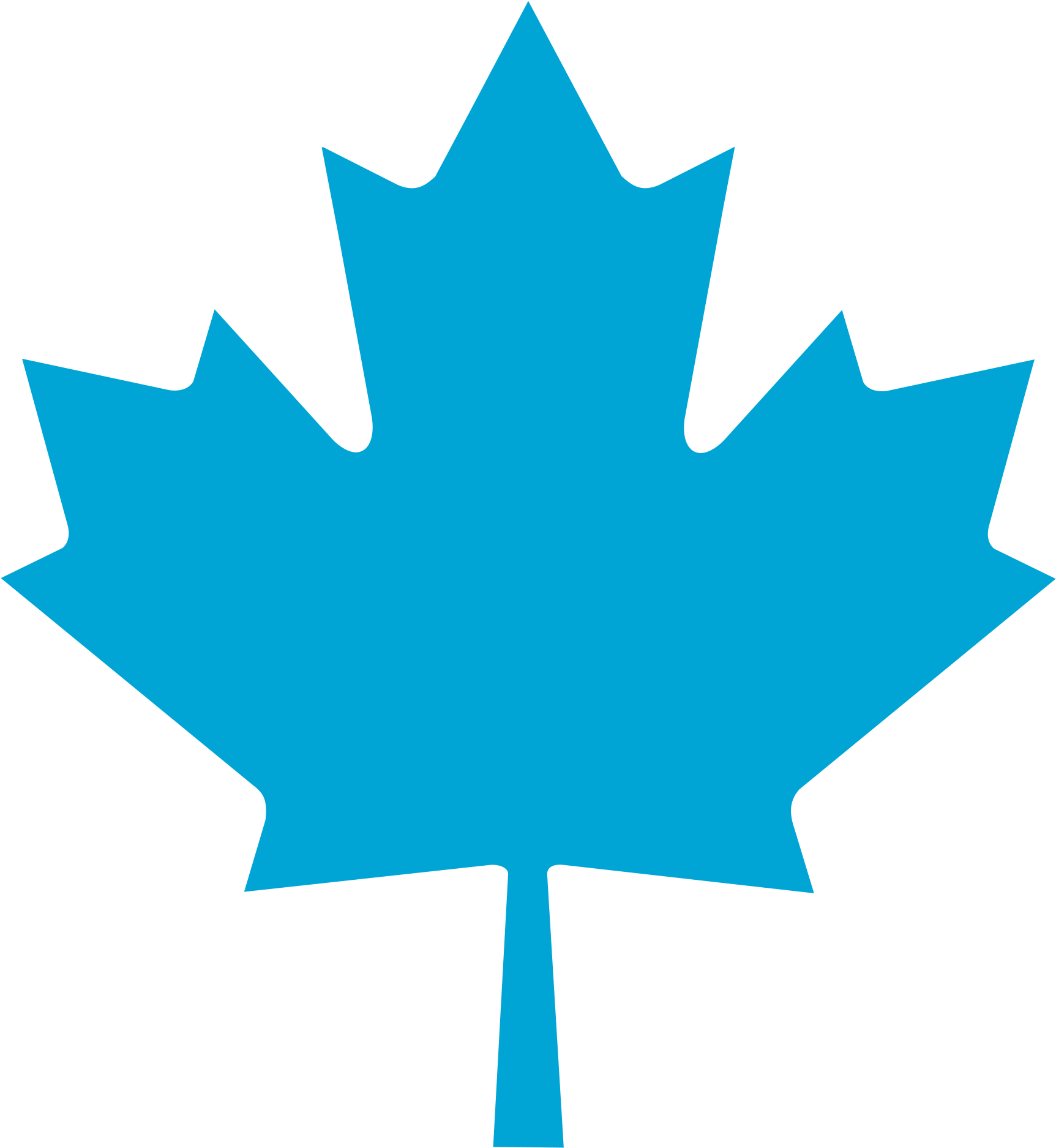 Bq Maple Leaf - Canadian Maple Leaf Black (2000x2000)