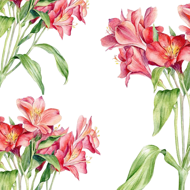 Watercolor Painting Drawing Illustration - Фон Растения Png (658x658)