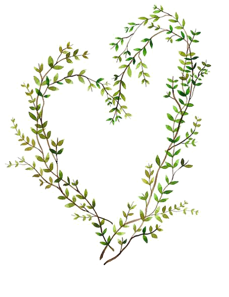Watercolor Painting Heart Illustration - Watercolour Illustration Of Vines (564x705)