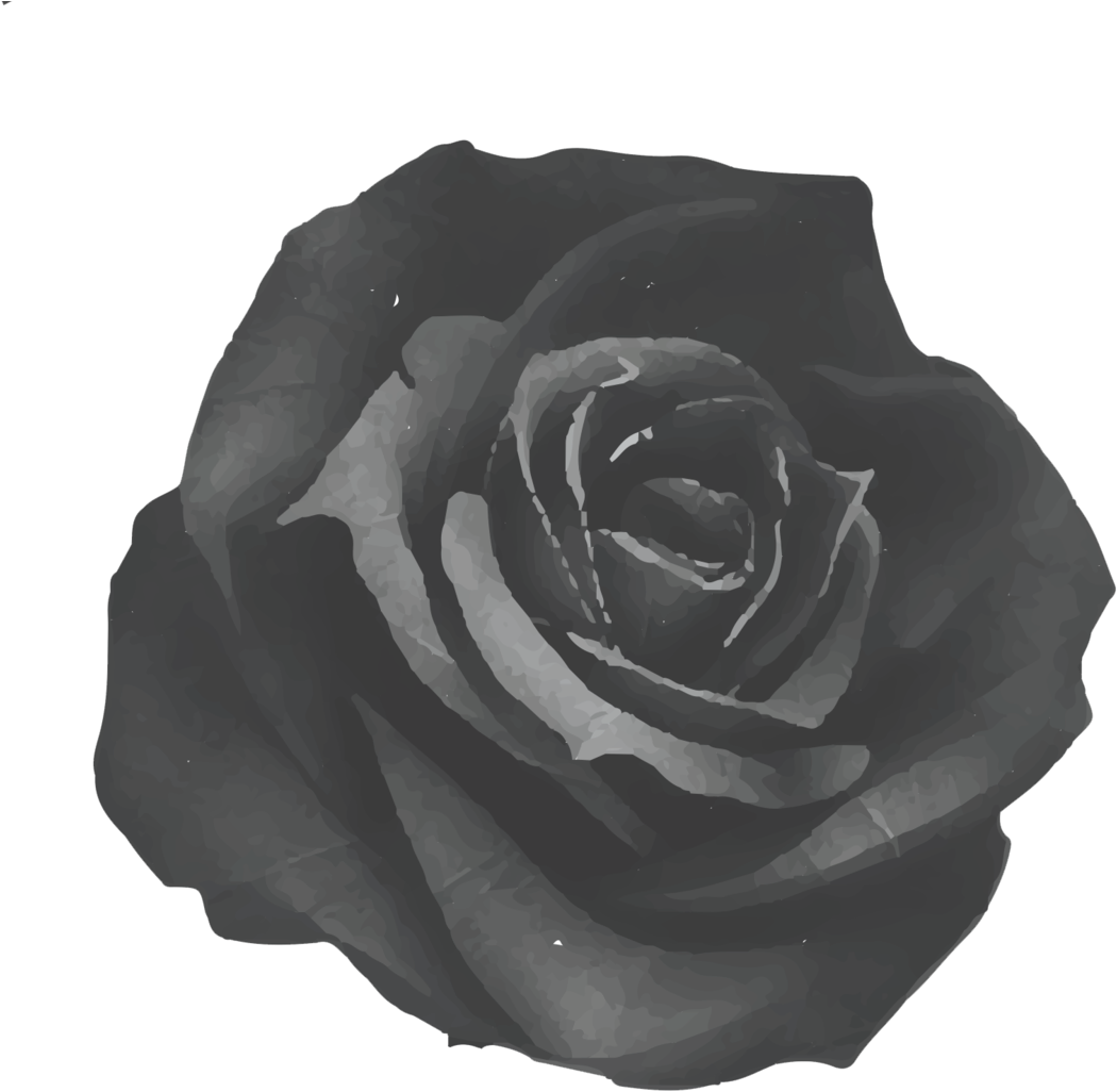 Black Rose Tavern - Fabric Rose Art Print - Mini By Ruben Ireland (1136x1136)