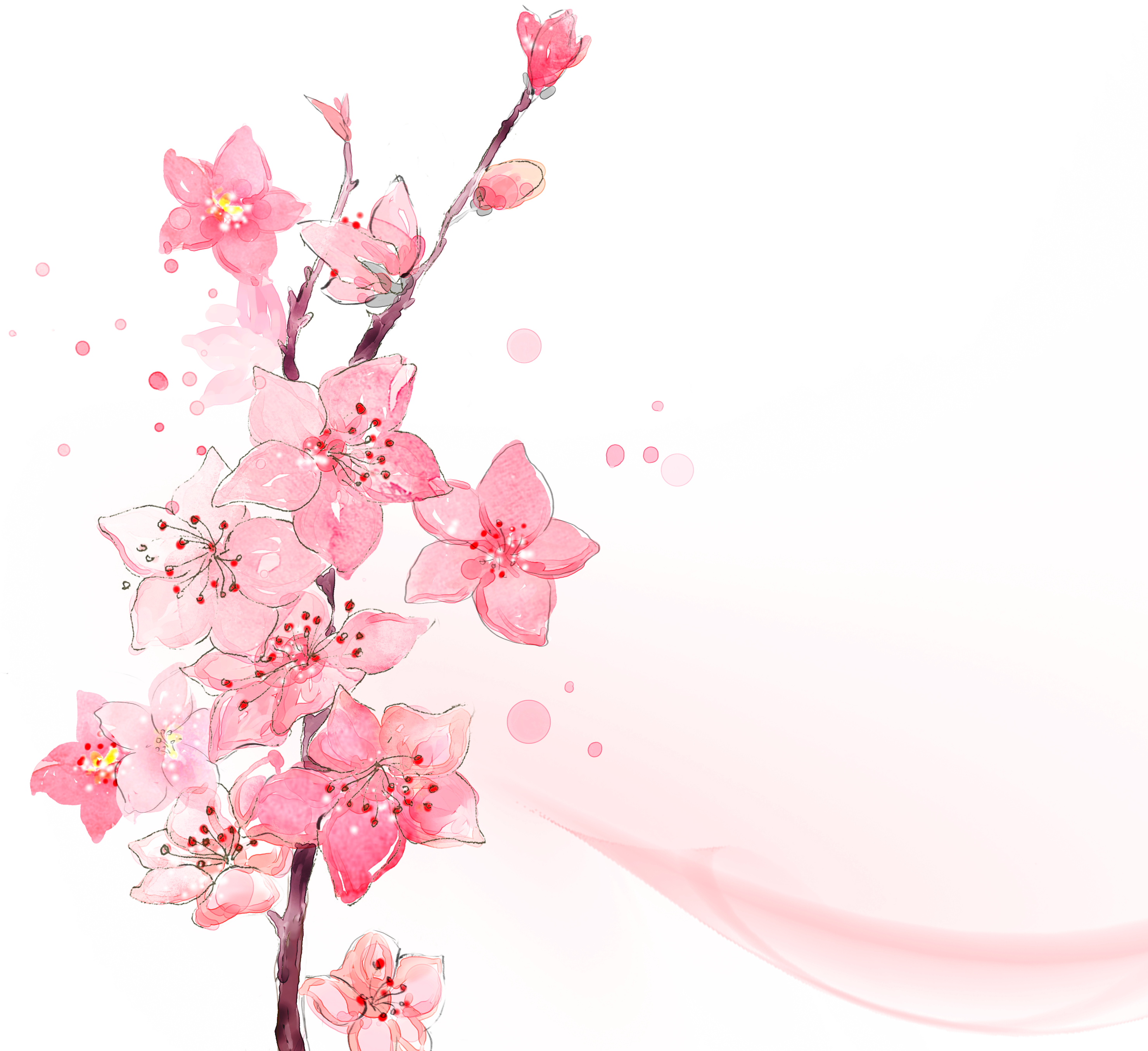 Сакура шаблон. Веточка Сакуры. Розовые цветы на прозрачном фоне. Ветка Сакуры без фона. Цветок Сакуры без фона.