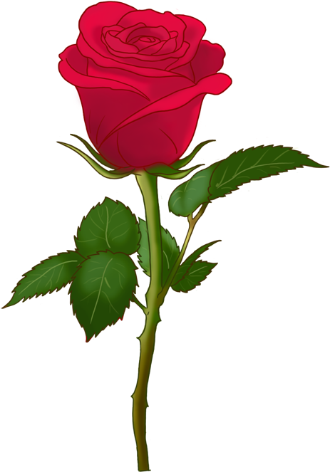 Please Accept This - Rose Flower Emoji Transparent (735x1102)