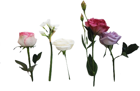 Hell Is Where I Dreamt Of You (500x333)