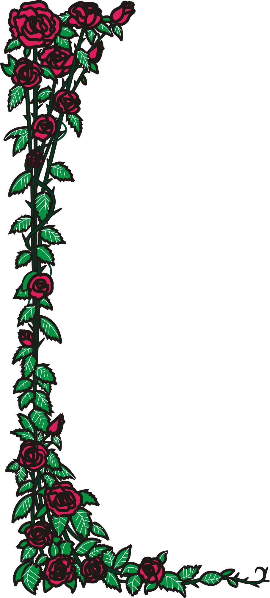Rose - Rose And Thorns Border (908x2008)