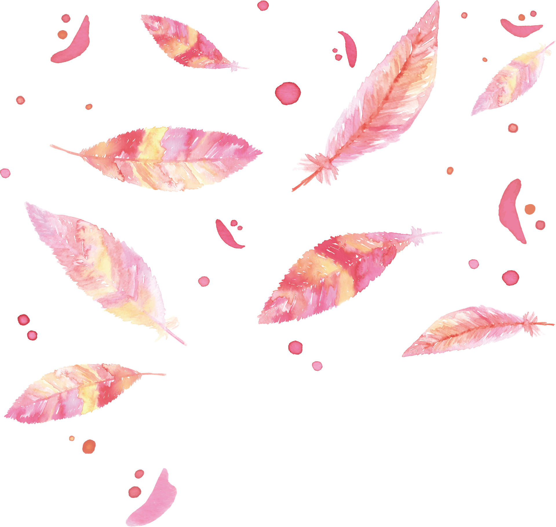 Watercolor Painting Feather Bird - Watercolor Painting (1919x1819)
