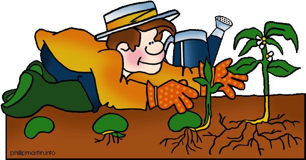 Plant - Life Cycle Of A Plant (648x354)