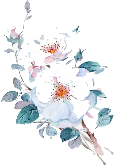 Floral Design Watercolor Painting Flower - Watercolor Painting (456x635)