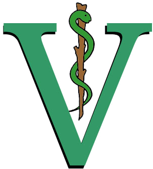 E Health It S A Small World Health After All Veterinary - Veterinary Symbol Png (498x438)