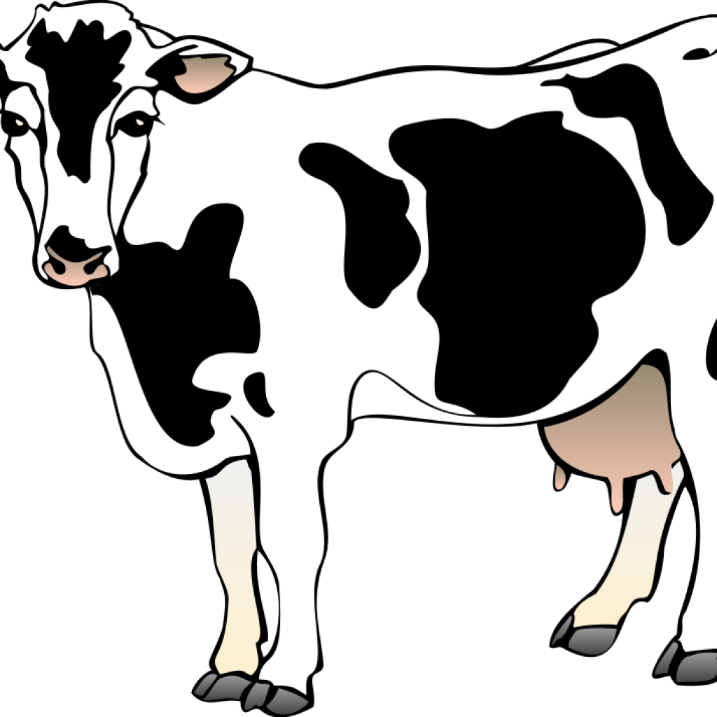 Cow Clipart Cows Clipart 04 Clipart Panda Free Clipart - Clip Art Of Cow (1024x1024)