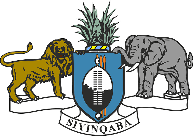 Swaziland Coat Of Arms (640x451)