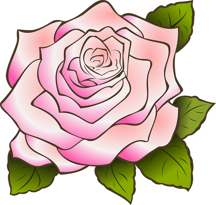 Rose Flower Drawing 4, - Pink Rose Clip Art (756x720)