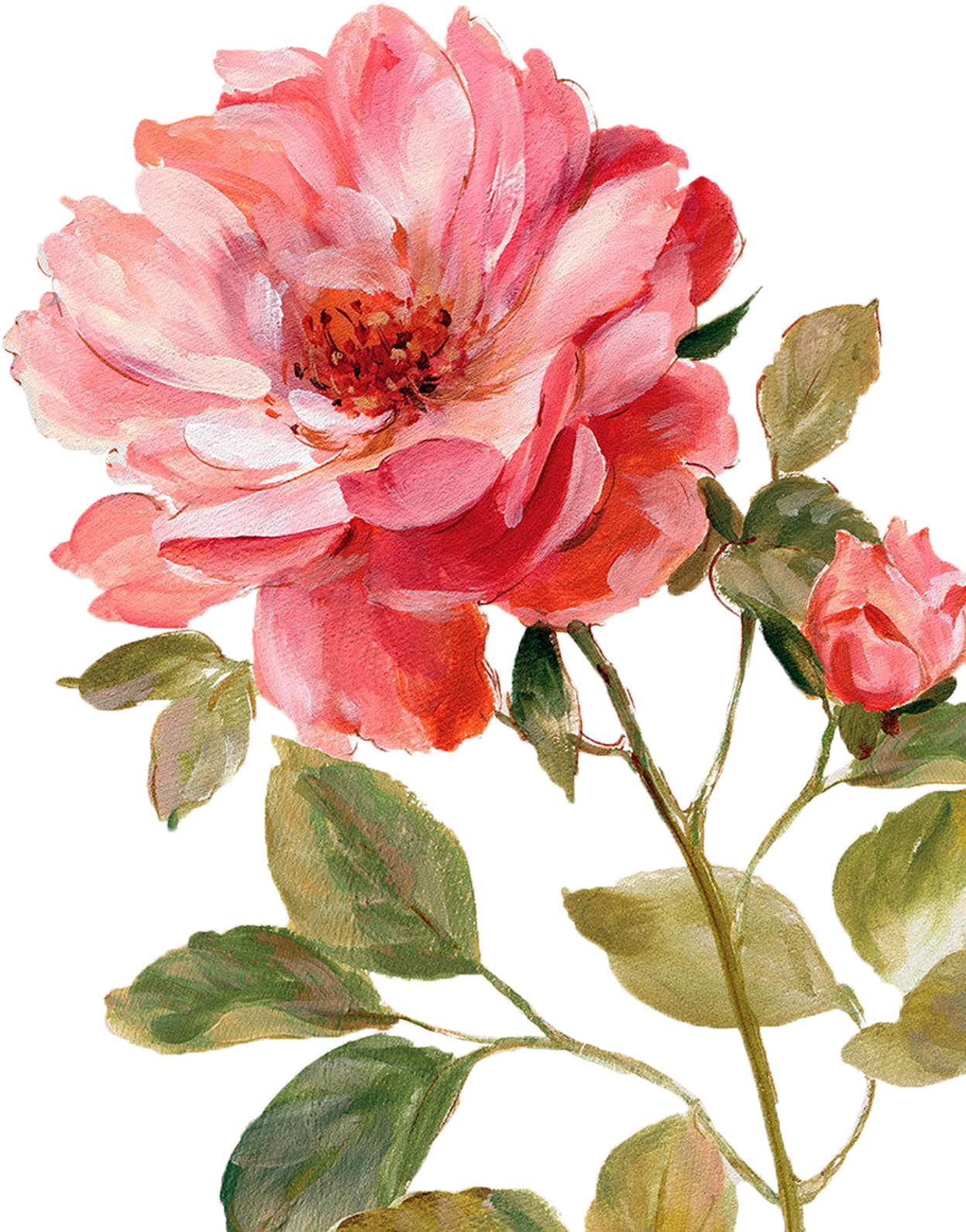 Çiçekler Png Clipart Lisa Audit - Harmonious Rose Linen Poster Print By Lisa Audit (1257x1600)