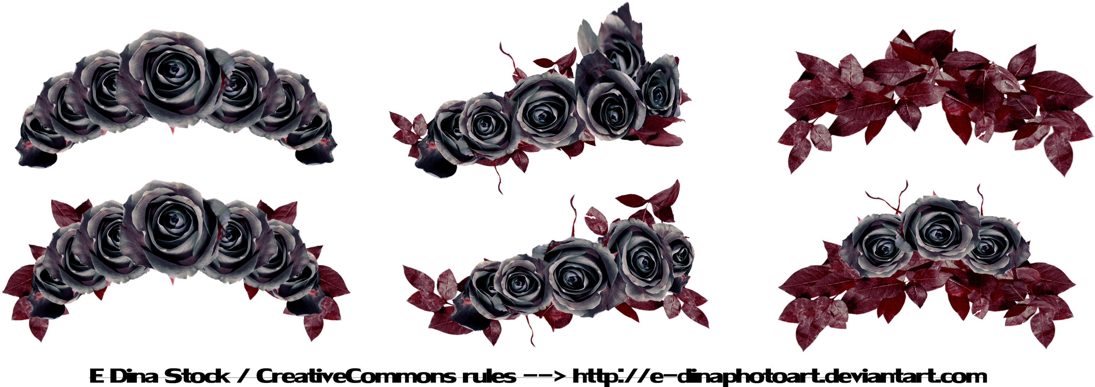 Png Stock Floralwreath Dark Roses By E Dinaphotoart - Dead Flower Crown Png (4210x1403)