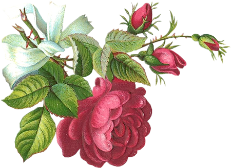 Laminas Para Decoupage 3 - Flower (450x329)