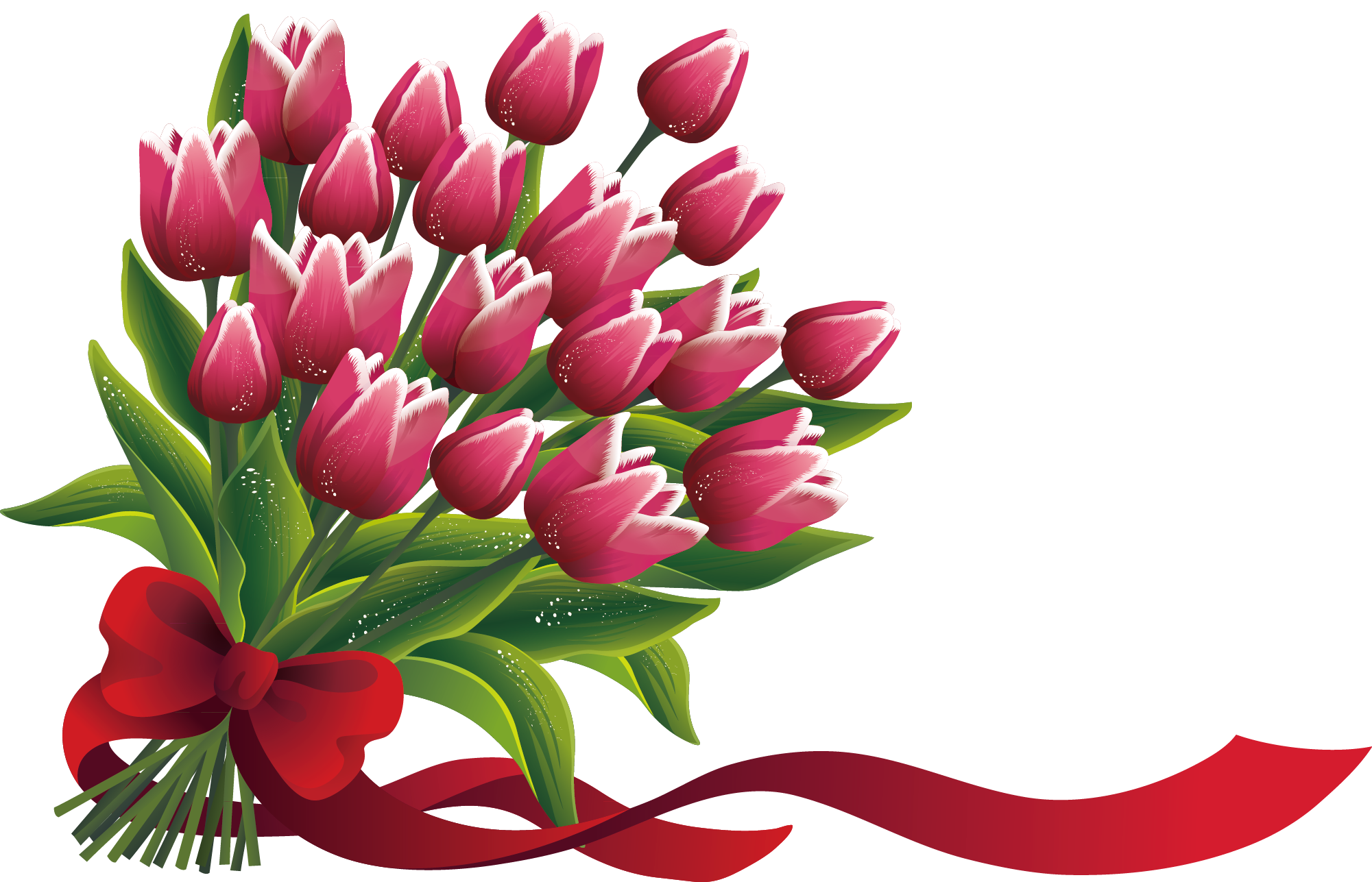 Tulip Flower Adobe Illustrator - Flower (2001x1287)