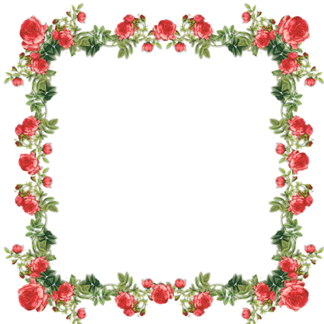 Çerçeve Png - Google'da Ara - Picture Frame (650x650)