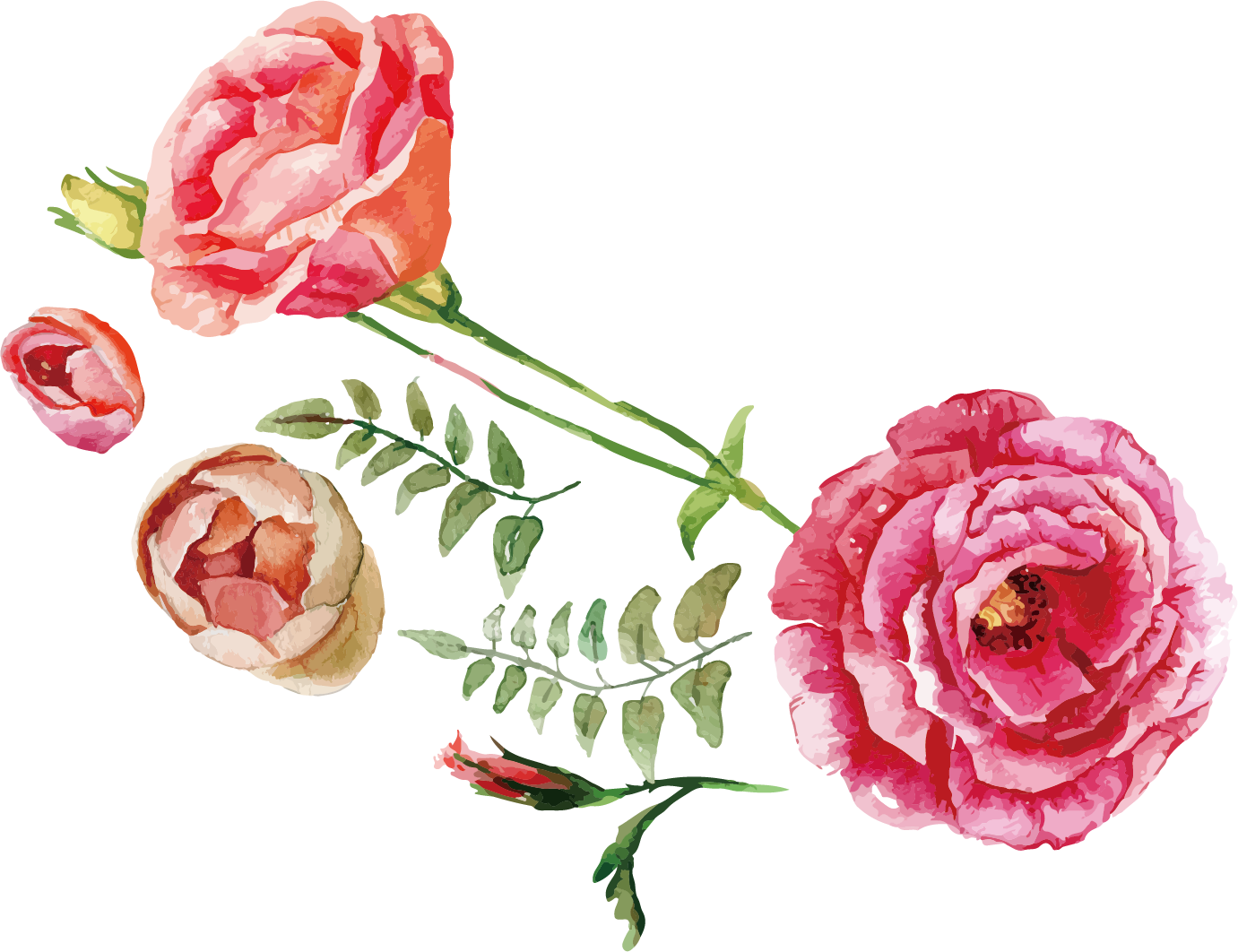 Rose Flower Bouquet Illustration - Watercolor Flowers Vector Free Download (1381x1062)