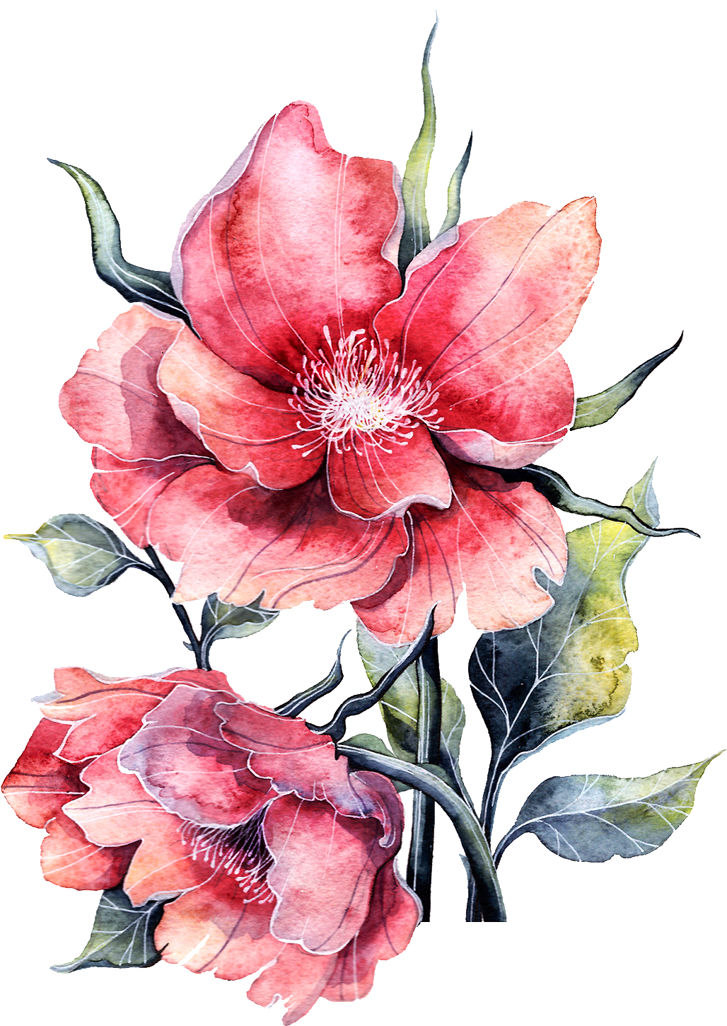 Flower Paper Painting Rose - Pink Painting Flowers Png (1200x1697)